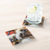 DESSOUS-DE-VERRE EN VERRE COTON - TOP TAMARIN SINGES (Incliné)
