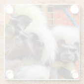 DESSOUS-DE-VERRE EN VERRE COTON - TOP TAMARIN SINGES (Dos)