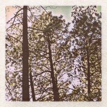 Couleur par les arbres