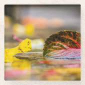 Dessous-de-verre En Verre Couleurs d'automne (Devant)