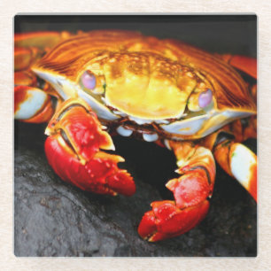 Dessous-de-verre En Verre Crabe de Galapagos