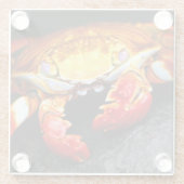 Dessous-de-verre En Verre Crabe de Galapagos (Dos)