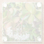 Dessous-de-verre En Verre Crassula ovata (Dos)