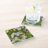 Dessous-de-verre En Verre Crassula ovata (Incliné)