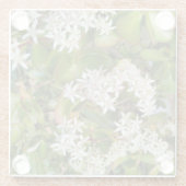 Dessous-de-verre En Verre Crassula ovata (Dos)