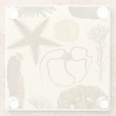 Dessous-de-verre En Verre Créatures sous-marines (Dos)