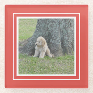 Dessous-de-verre En Verre Créer votre propre Keepsaké Photo Modèle moderne R