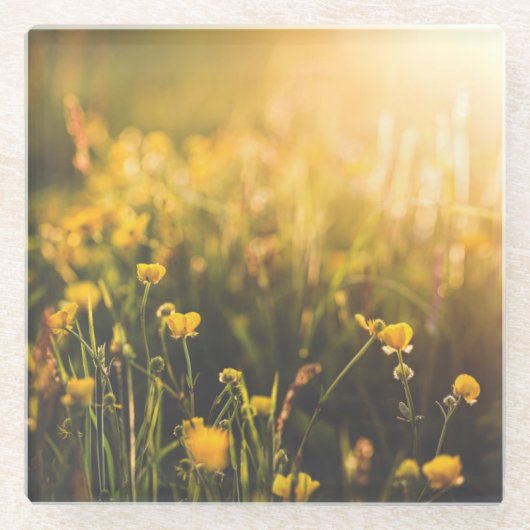 Dessous-de-verre En Verre Crépuscule de renoncule (Devant)