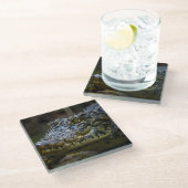 Dessous-de-verre En Verre crocodile (Incliné)