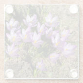 Dessous-de-verre En Verre Crocus de printemps mignons (Dos)