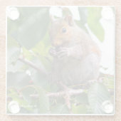 Dessous-de-verre En Verre Cuite Cerise cueillir Écureuil gris (Dos)