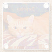 Dessous-de-verre En Verre Cute Drôle Bright Orange Tabby Chat (Dos)