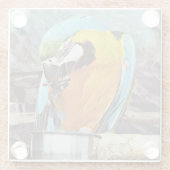 DESSOUS-DE-VERRE EN VERRE CUTE MACAW (Dos)