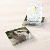 DESSOUS-DE-VERRE EN VERRE CUTE MEERKAT (Incliné)