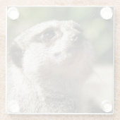 DESSOUS-DE-VERRE EN VERRE CUTE MEERKAT (Dos)