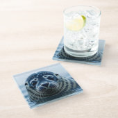 Dessous-de-verre En Verre Cute Seal Close up (Incliné)