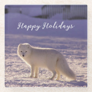 Dessous-de-verre En Verre Cute White Arctic Fox neige hiver Photographie