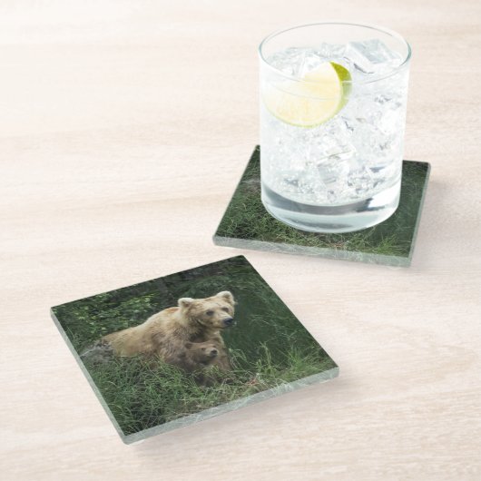 Dessous-de-verre En Verre Cutest Baby Animals | Bear Mama Bear & Her Cubs (Incliné)