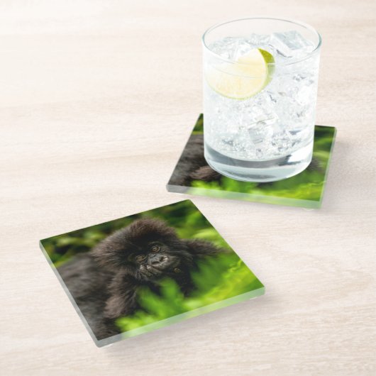 Dessous-de-verre En Verre Cutest Baby Animals | Infant Mountain Gorilla (Incliné)