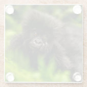 Dessous-de-verre En Verre Cutest Baby Animals | Infant Mountain Gorilla (Dos)