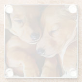 Dessous-de-verre En Verre Dachshund mignon Dachshund Chiots Dachshund Annive (Dos)