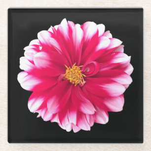 Dessous-de-verre En Verre Dahlia