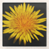 Dessous-de-verre En Verre Dandelion Flower coastercnm (Devant)