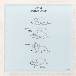 Dessous-de-verre En Verre Dans l'âge d'un chien