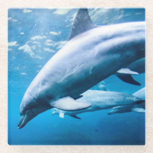 Dessous-de-verre En Verre Dauphins sous-marins