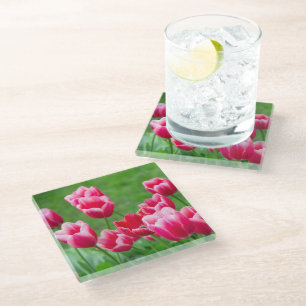 Dessous-de-verre En Verre De mignonnes tulipes écarlate dans le jardin