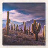 Dessous-de-verre En Verre Deserts | Cactus Landscape Argentina (Devant)