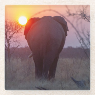 Dessous-de-verre En Verre Dessous de verre