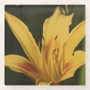 Dessous-de-verre En Verre Dessous de verre de fleur d'hémérocalle