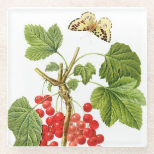 Dessous-de-verre En Verre Dessous de verre de verre Plante Redoute