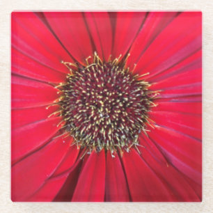 Dessous-de-verre En Verre Dessous de verre en verre à fleurs rouges