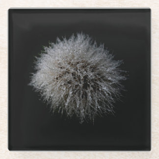 Dessous-de-verre En Verre Dessous de verre en verre Dandelion blanc