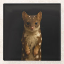 Dessous de verre en verre luxueux noir 4, Quoll su