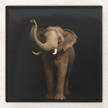 Dessous de verre en verre noir 4 Luxe, Éléphant ma