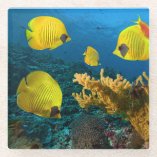 Dessous-de-verre En Verre Dessous de verre en verre - poisson tropical