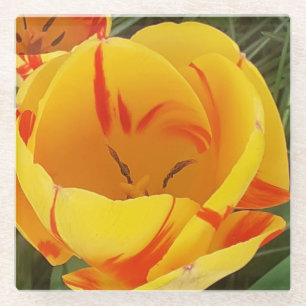 Dessous-de-verre En Verre Dessous de verre en verre Tulip jaune