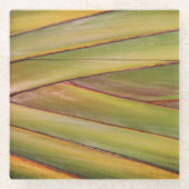 Dessous-de-verre En Verre Dessous de verre Palm Tree (Devant)