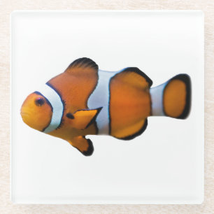 Dessous-de-verre En Verre Dessous de verre Poisson clown (choisir la couleur