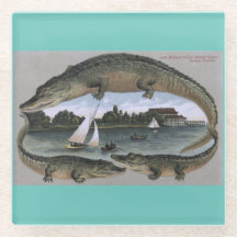 dessous de verre Vintages Florida Gators. Alligato