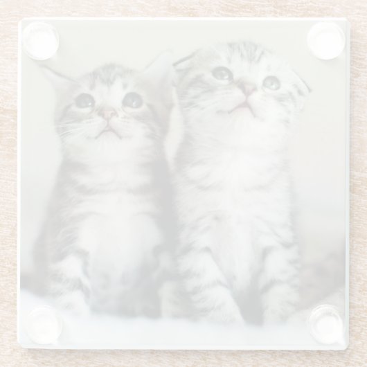 Dessous-de-verre En Verre Deux chatons mignons (Dos)