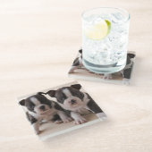 Dessous-de-verre En Verre Deux chiots de Boston Terrier (Incliné)