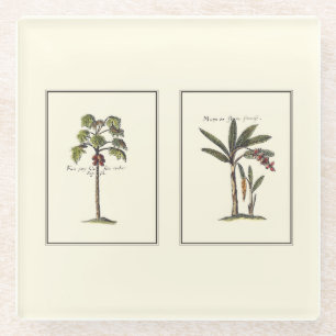 Dessous-de-verre En Verre Deux mini palmiers encadrés