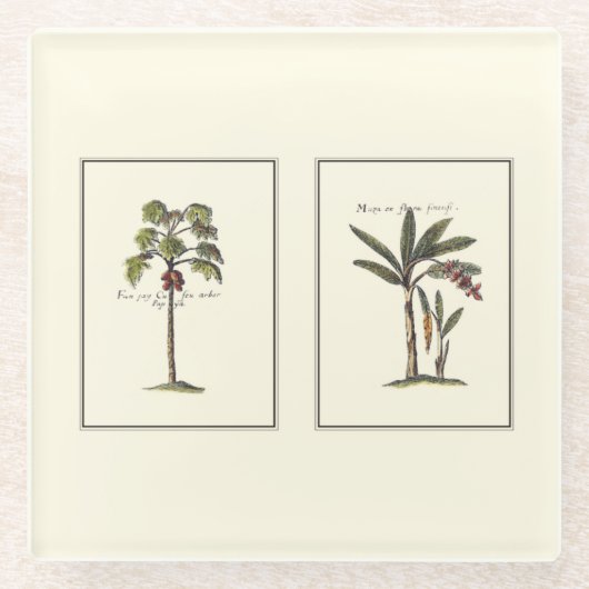 Dessous-de-verre En Verre Deux mini palmiers encadrés (Devant)