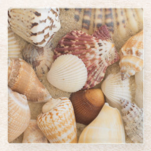 Dessous-de-verre En Verre Disposition de coquillage