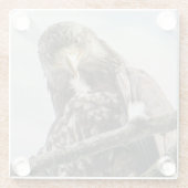 Dessous-de-verre En Verre Eagle Face Funny Faune Oiseau Photographie (Dos)