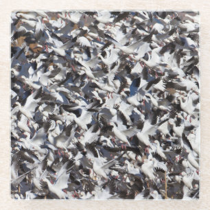 Dessous-de-verre En Verre Éclat de l'oie de neige